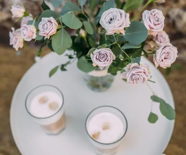 Schloss Grube 酒店 4*